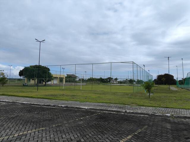 para  em  - 4